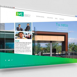 Diseño web para International Venture Consultants en Valencia